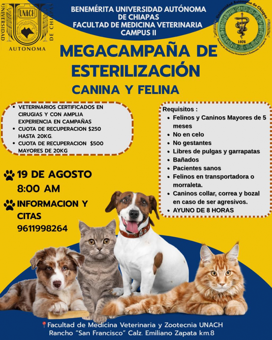 Megacampaña