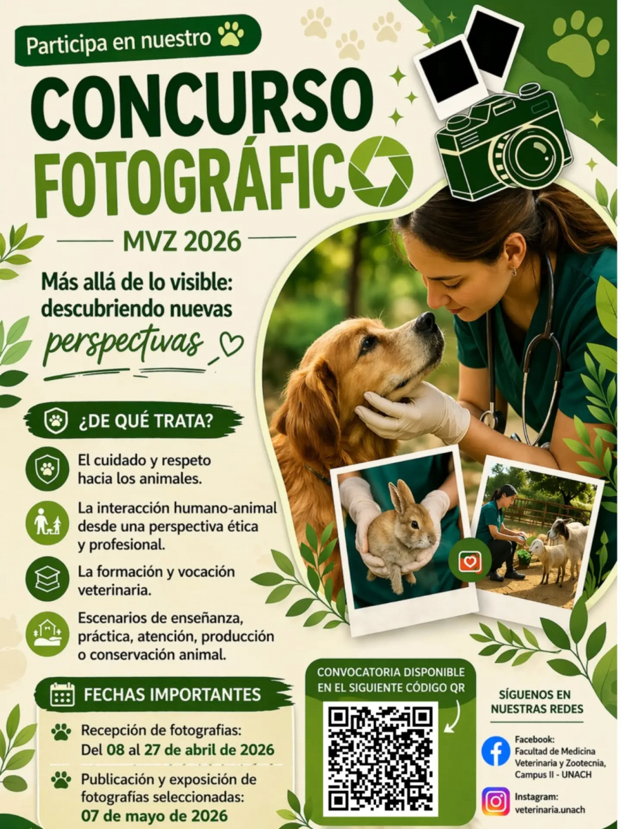 Concurso Fotografico